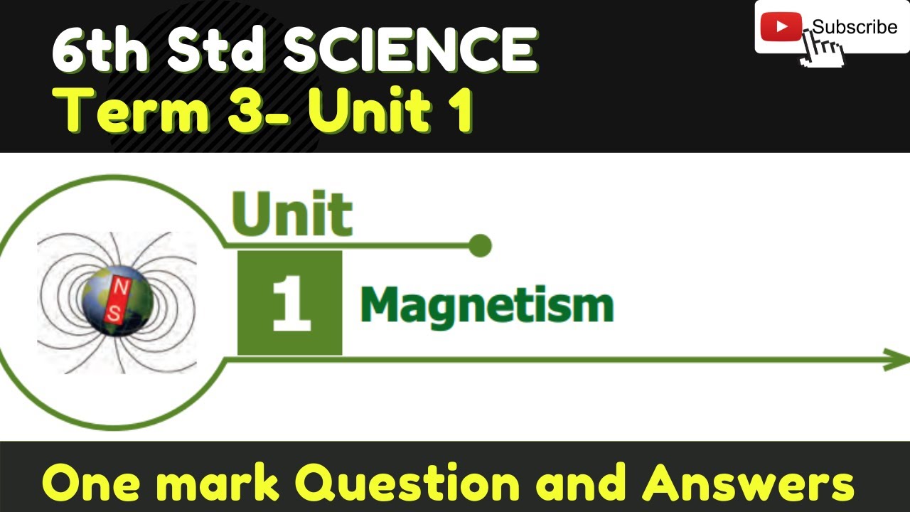 6th std Science- Magnetism Book back  ANSWERS| TERM 3 Unit-1  class 6  TNPSC samacheer|Schoolless