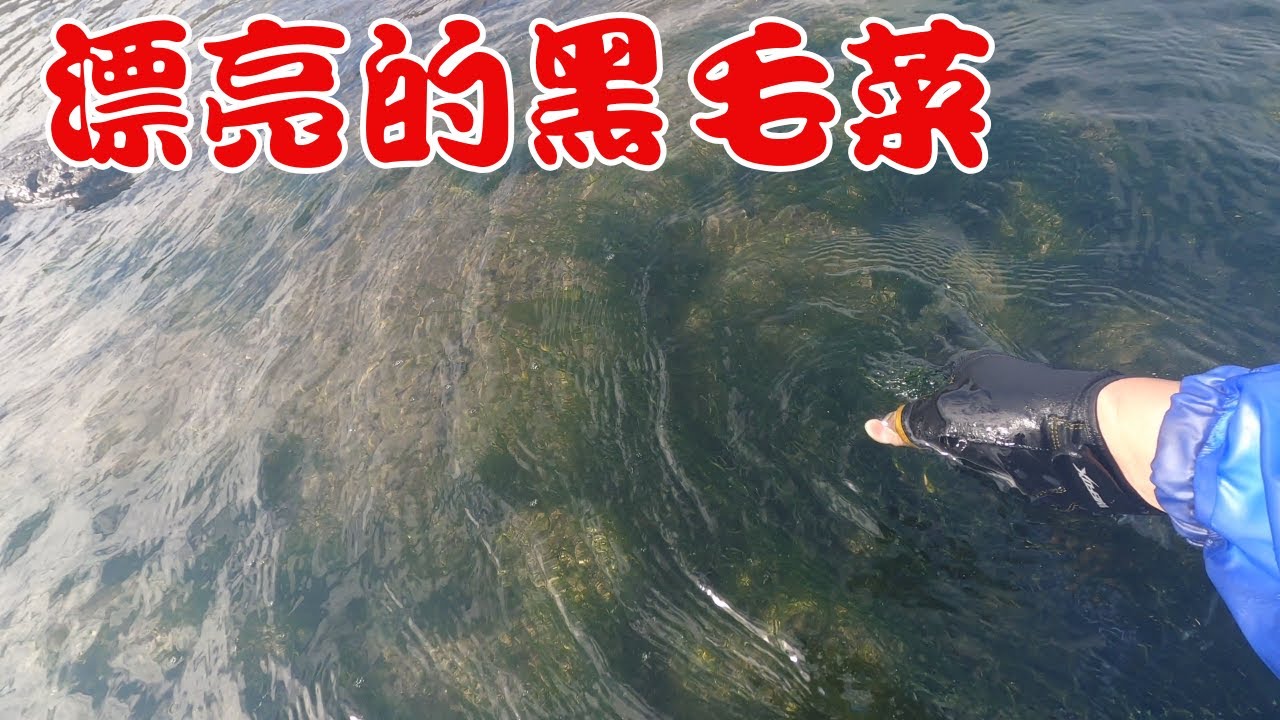 #藻餌磯釣#東北角#三貂角#馬崗#黑毛礁