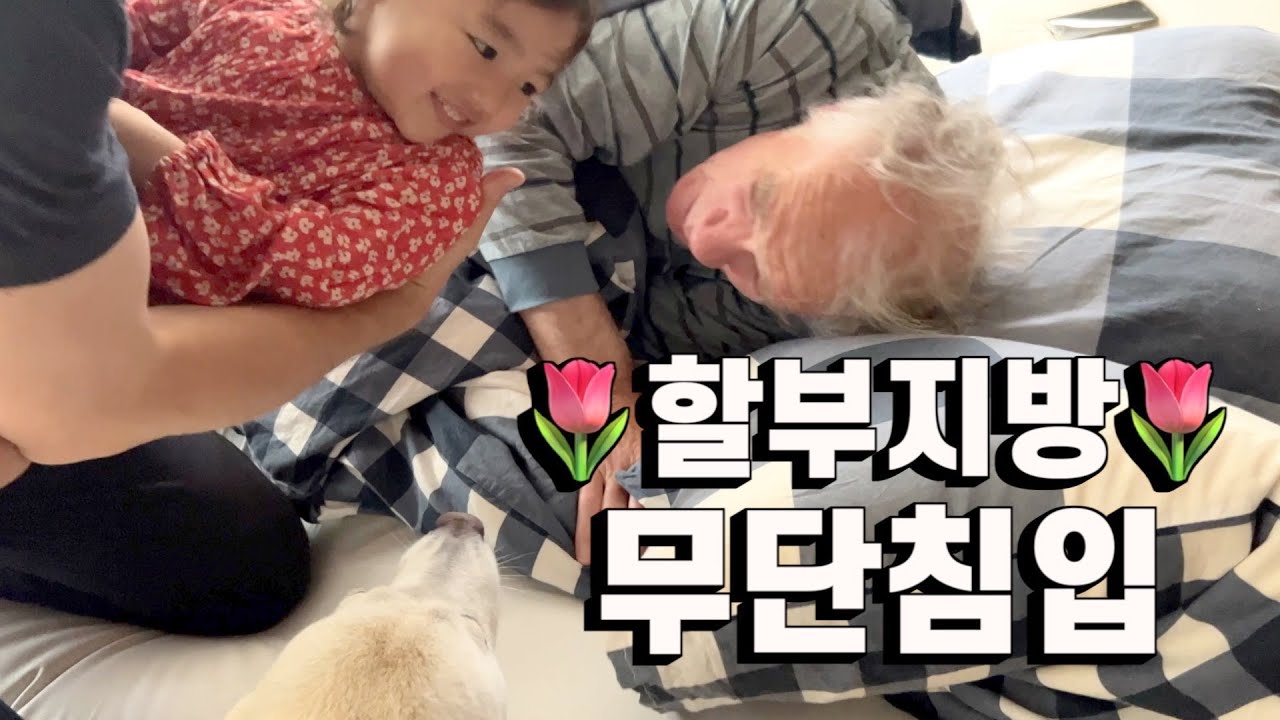 할아버지 주무시는데 보고싶다고 막무가내인 아기랑 강아지 | 네덜란드 이민정착기10