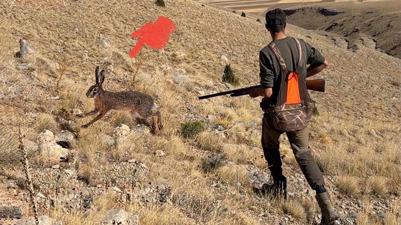 TAVŞANIN &Uuml;ST&Uuml;NE BASTIK! TAVŞAN AVI 2025 SEZOUNUN İLK TAVŞANINI ALDIK. Rabbit Hunting İn Turkey.