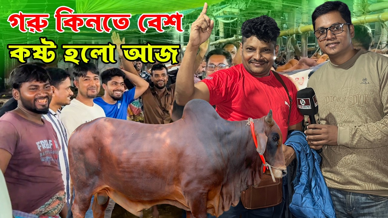 গরুর দাম বেশি হওয়ায় আকরাম ভাইয়ে আজ মিস ফিল্ডিং বেশি | হয়ে গেলো কম | তবে বকনা গরুটা কেনা কেমন হলো ?