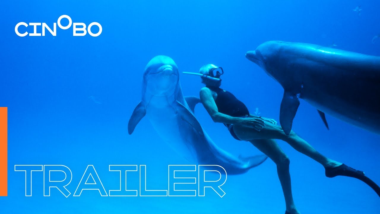 Dolphin Man Trailer | GR Subs | Cinobo