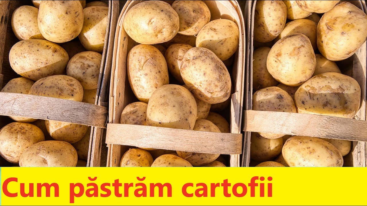 Cum se păstrează cartofii în pivnițe sau în condiții de apartament🥔🥔🥔