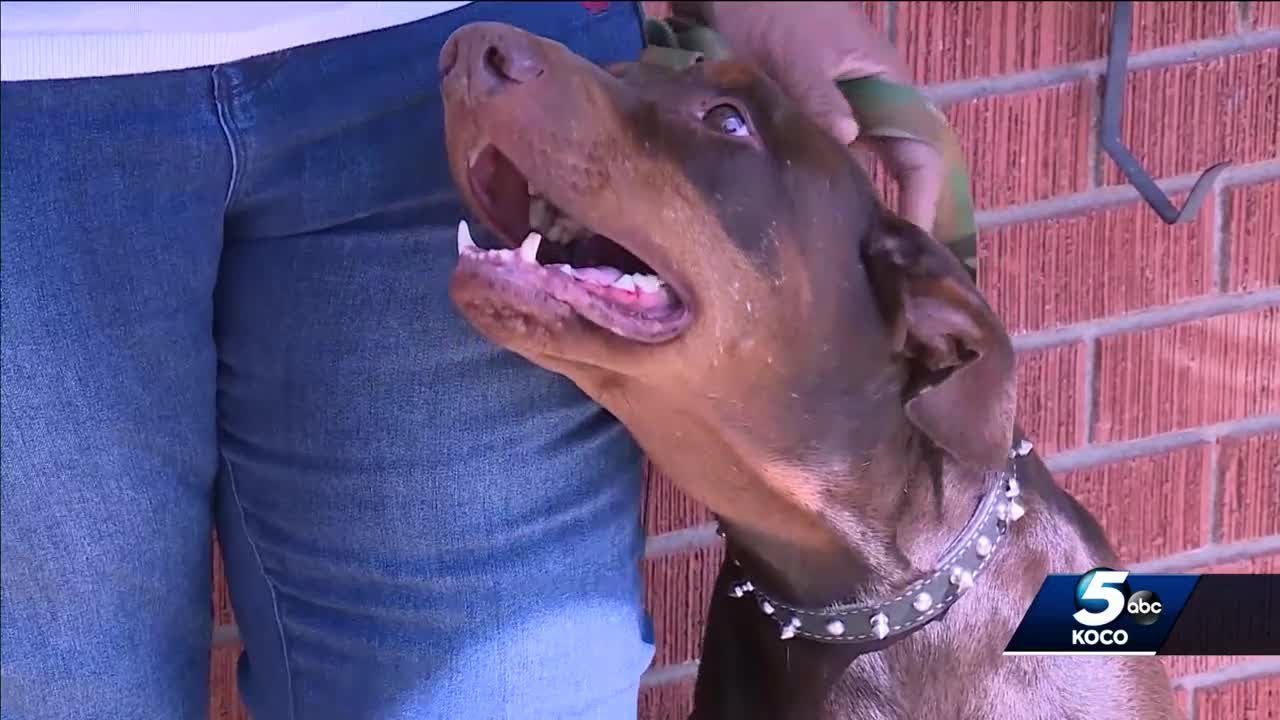Family grateful for dog who bit intruder