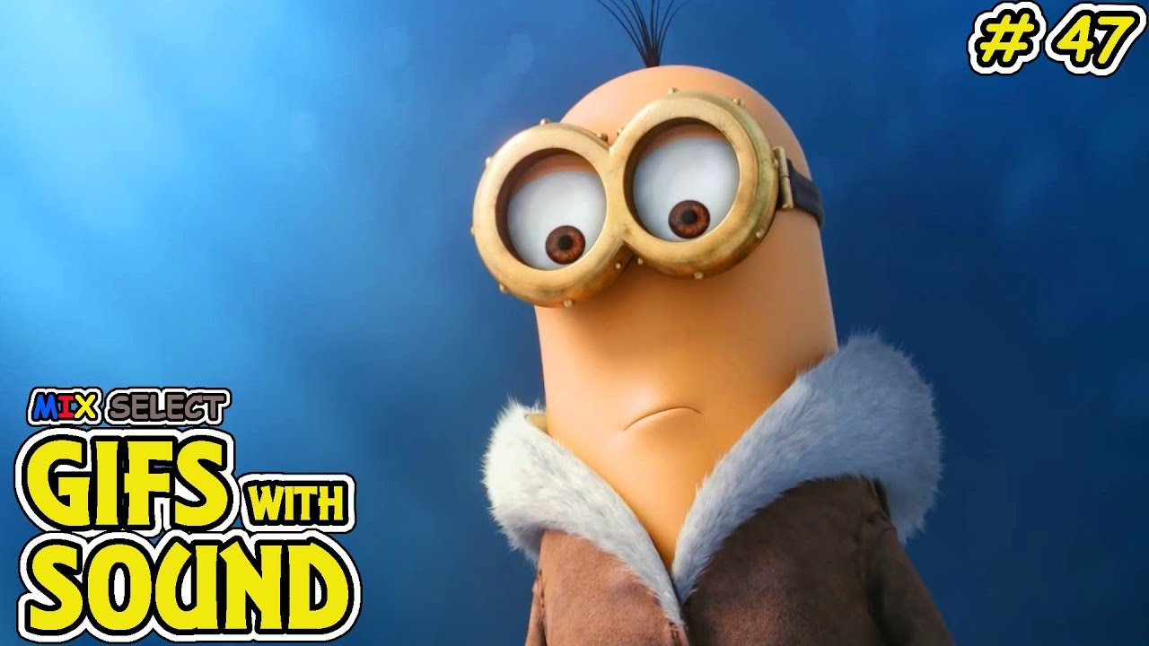 Gifs With Sound Compilation #47 | Mix Select