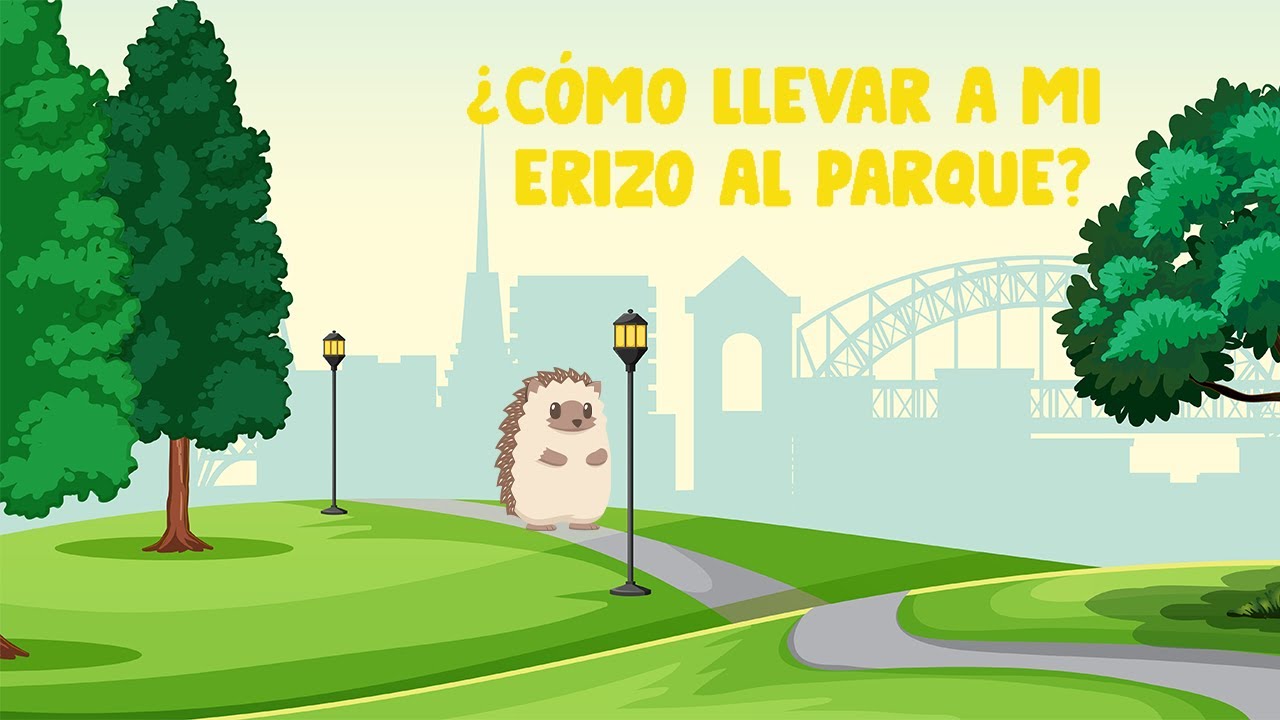 ¿Cómo llevar a mi erizo al parque? | Erizoo México