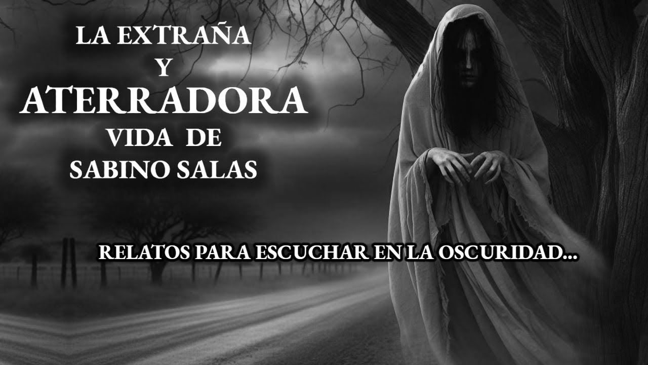 ¡50 MINUTOS! DE ATERRADORES RELATOS ENVIADOS POR UN SUSCRIPTOR |Relatos de Terror Reale | Viaje #232