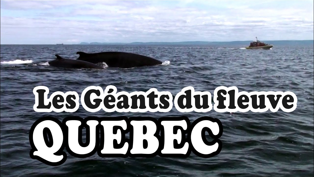 QUEBEC : les Géants du fleuve