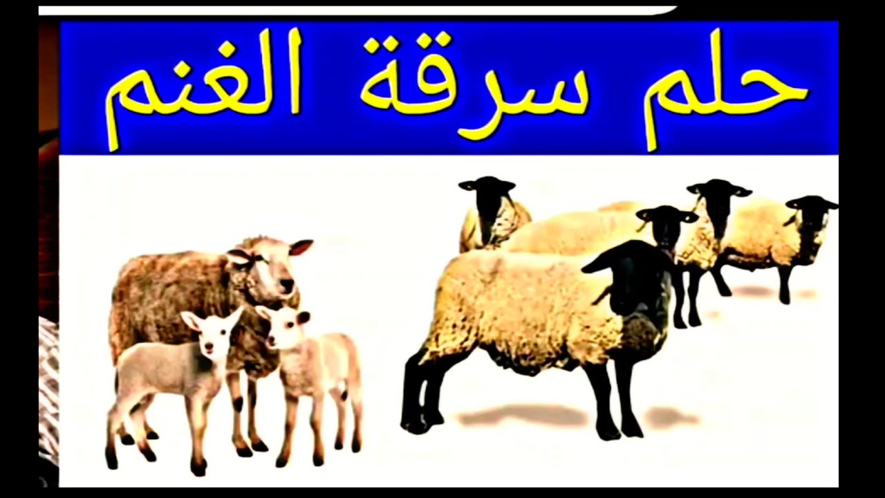 تفسير رؤية سرقةً الغنم في المنام،Stealing sheep in a dream، رؤيه ودلالات عضه الخروف في الحلم، 