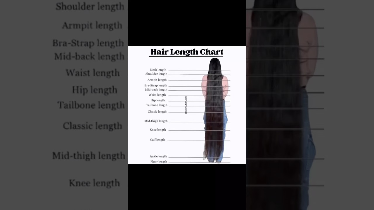 Hair length chart #hairlength #hairgoals #viral#shorts #youtubeshorts