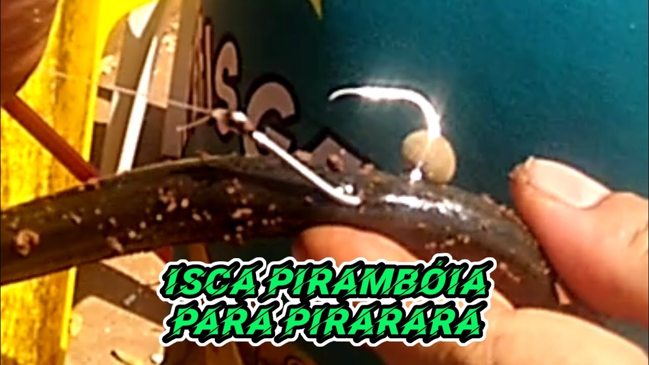 DICAS | COMO ISCAR | PIRAMB&Oacute;IA VIVA