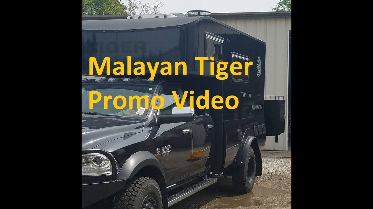 Tiger Malayan RV