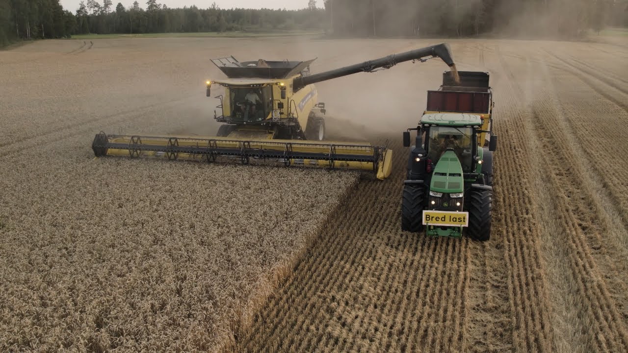 HARVEST 2021 I NEW HOLLAND CR 10.90 I JOHN DEERE 8345R I SWEDEN