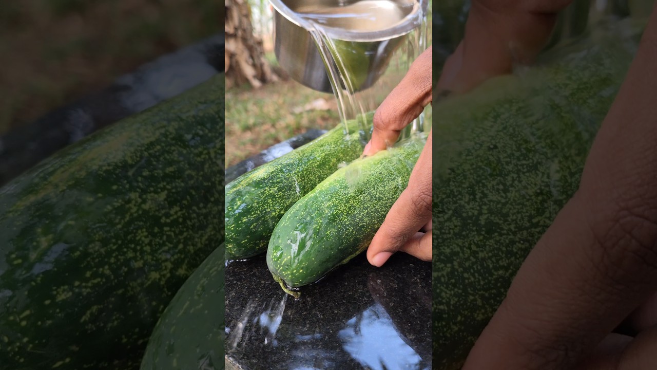 spicey cucumber 🤤#cook #recipe #food #foodnetwork #foodie