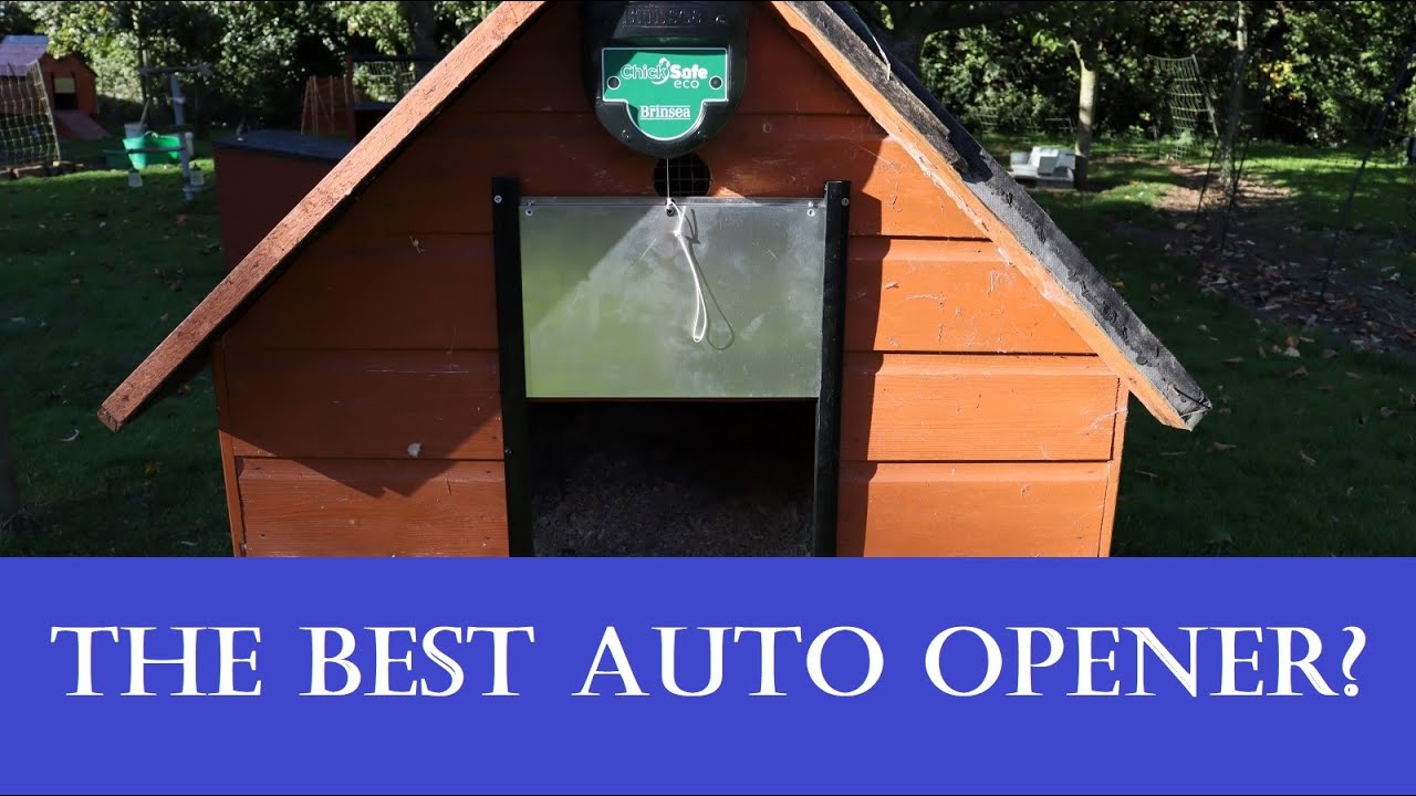 The Best Chicken Coop Auto Opener?  Brinsea Chicksafe Eco