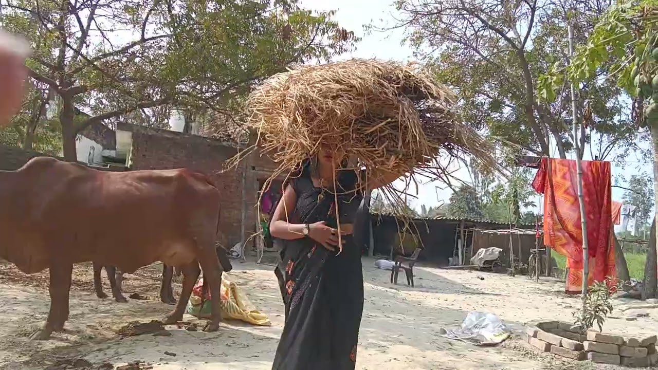 बोझ धोने जारही थी #khesari #
