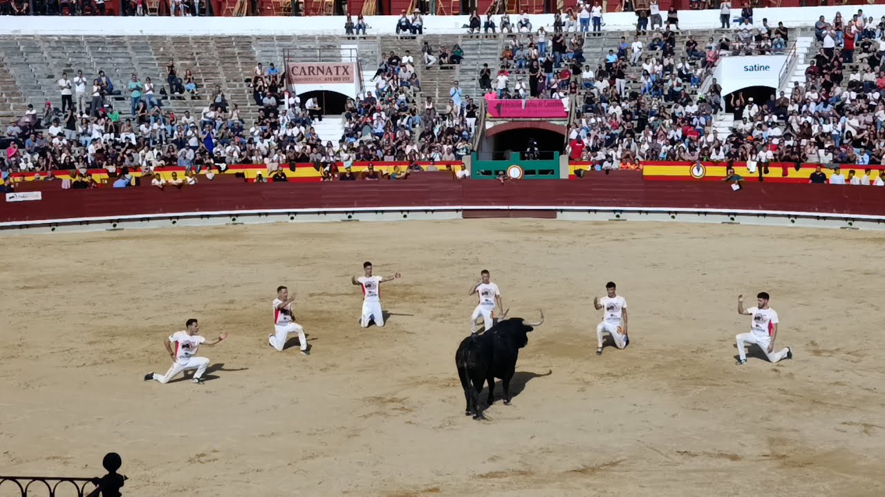 🐂FINAL DE ESPA&Ntilde;A CONCURSO RECORTES CASTELLON 2025🐂