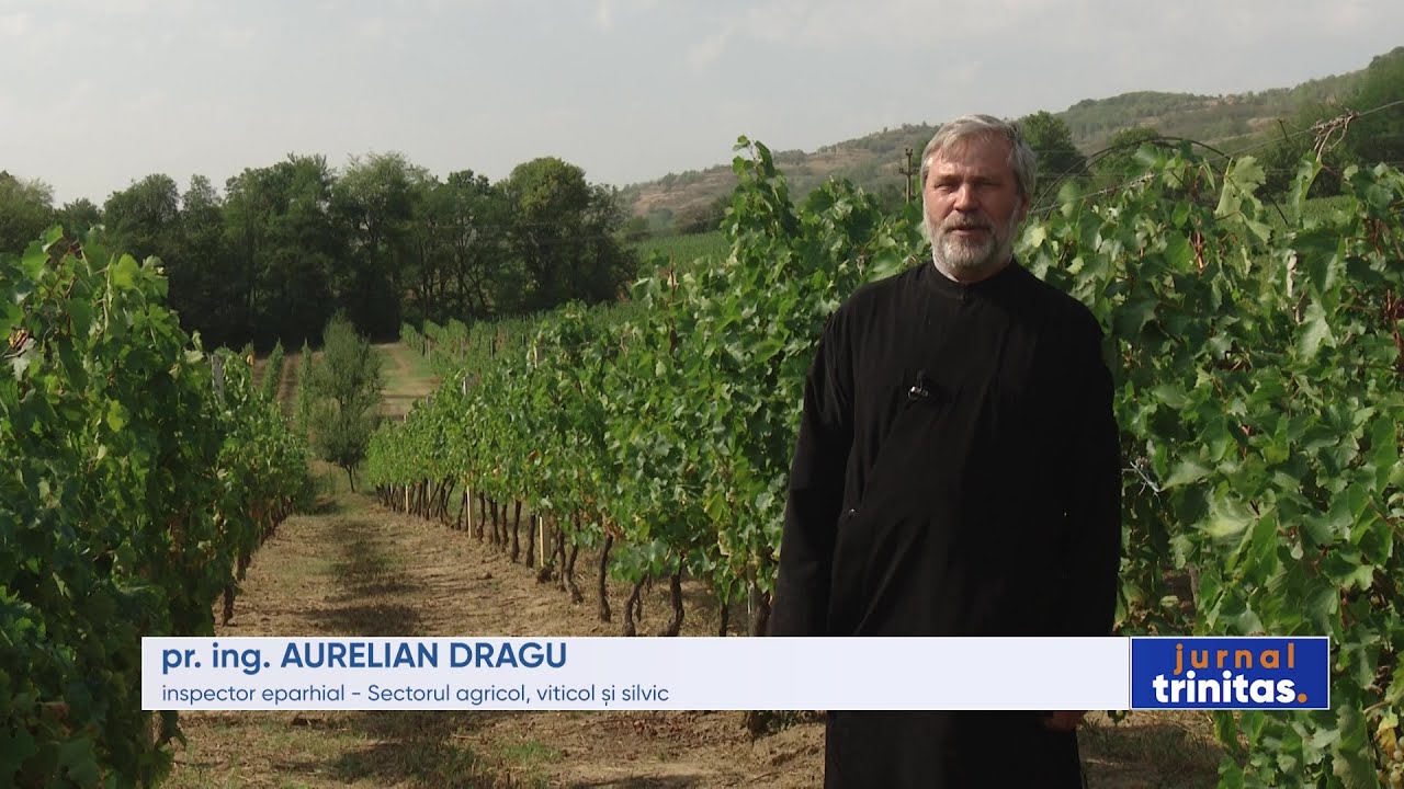 „Via Domnului” - Tradiție și Excelență la Mănăstirea Jercălăi