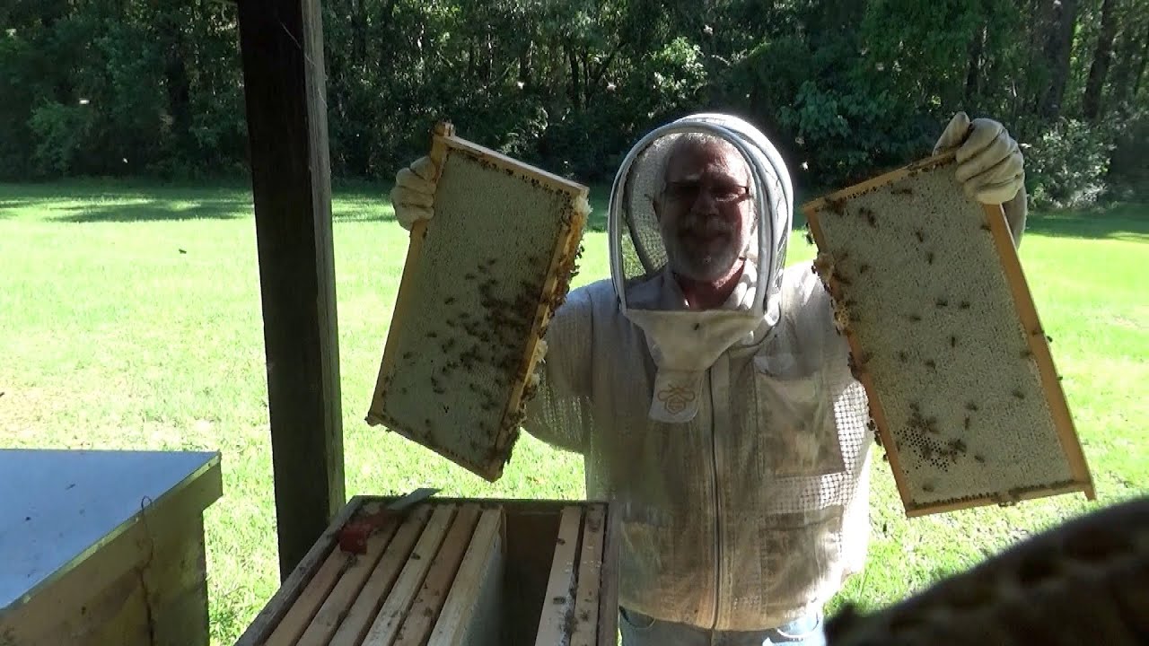 Checking our honey supers and adding more honey boxes.