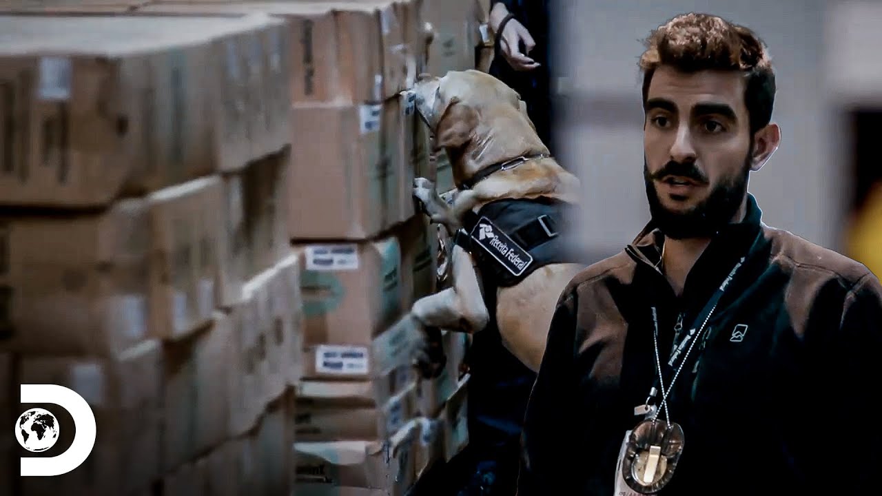 Dois casos que não terminaram em confisco ou detenção | Aeroporto - Área Restrita | Discovery Brasil