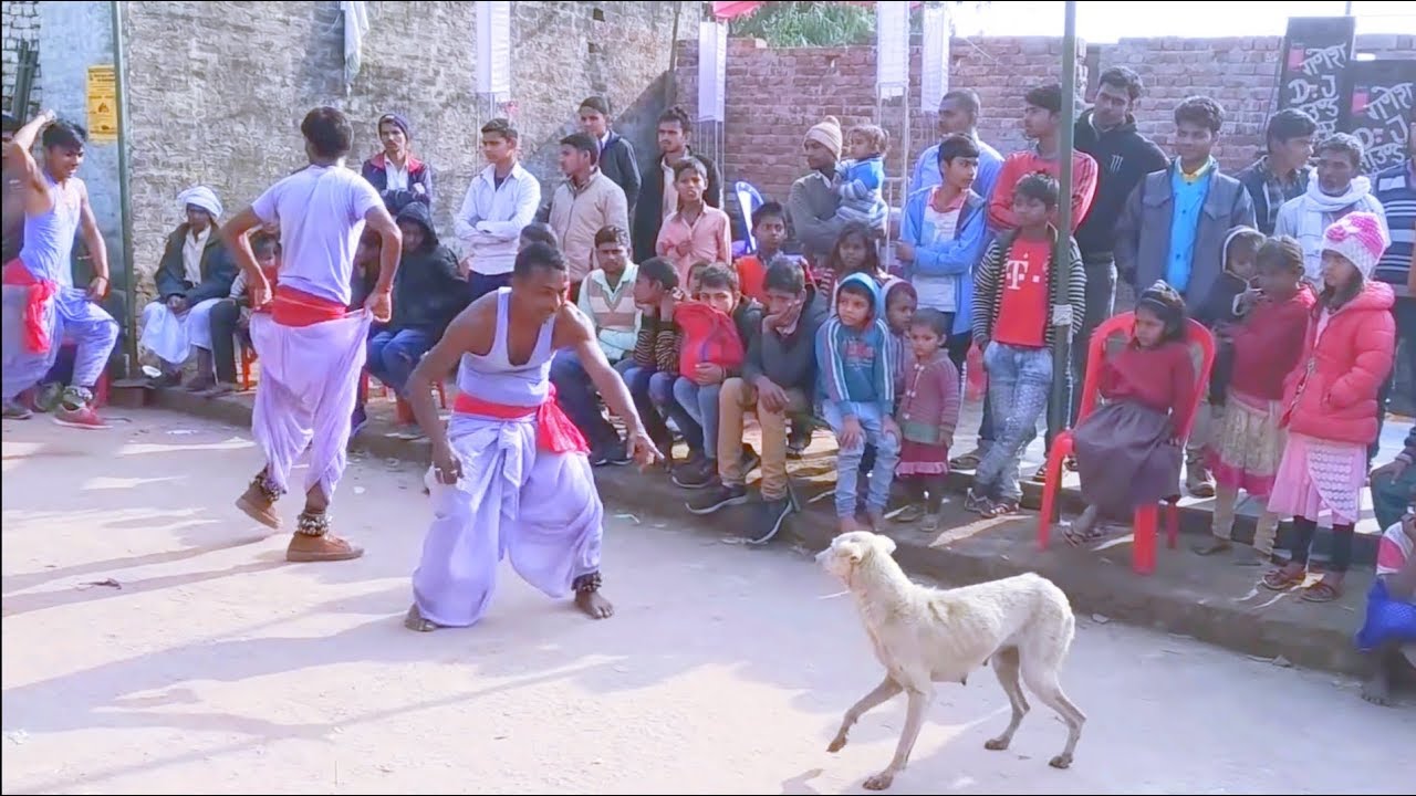 #faruwahi_dance_video | यह डांस लोगों के बीच धूम मचा रहा है | यकीन नहीं तो देख लो | #faruwahi_2022