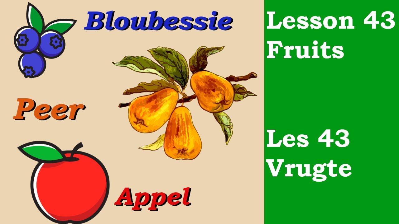 Learn Afrikaans for Beginners | Fruits | Vrugte |  Lesson 43