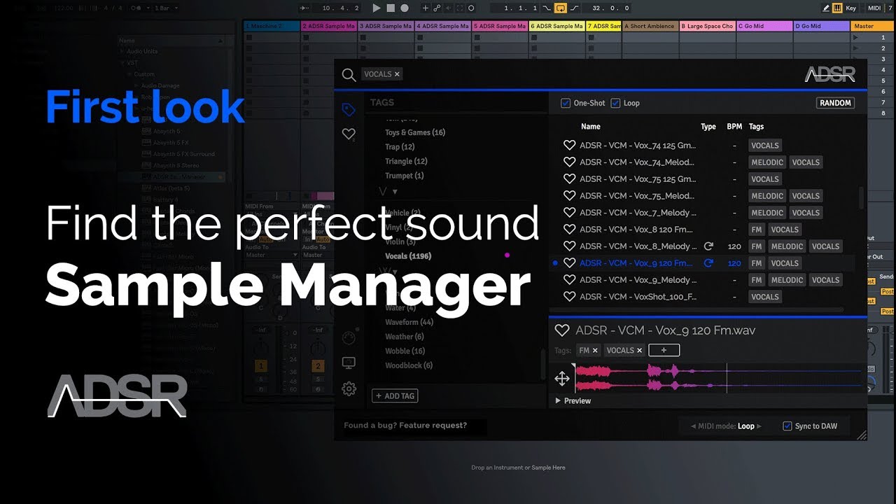 ADSR Sample Manager - First Look with Echo Sound Works ( + FREE plug-in Download )