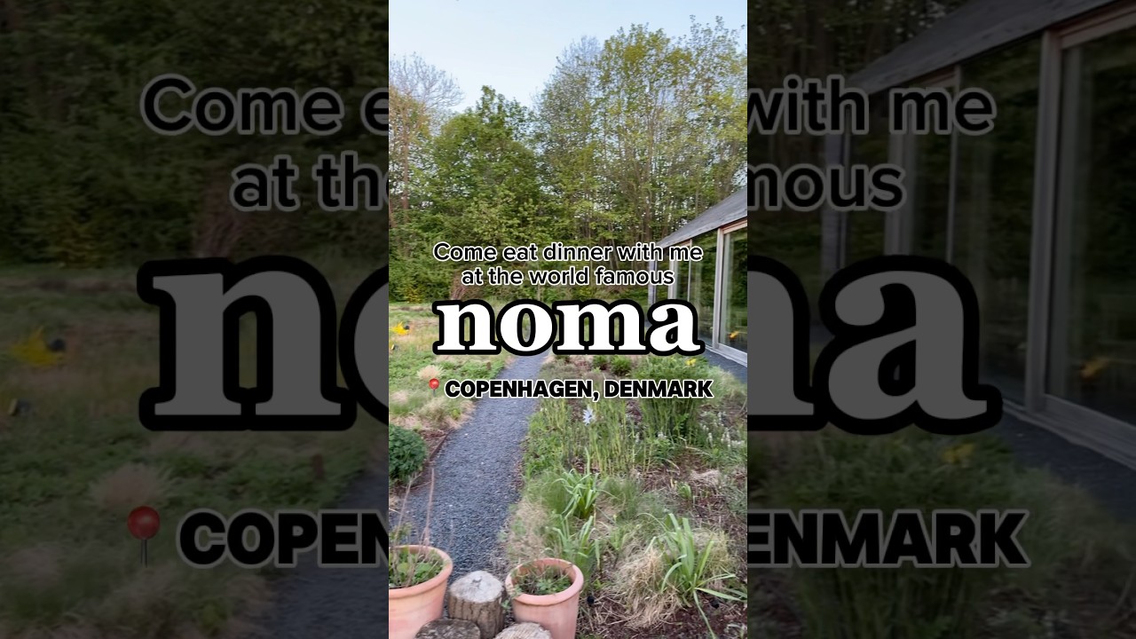 Dinner at Noma, One of the Best Restaurants in the World. #noma #finedining #michelin