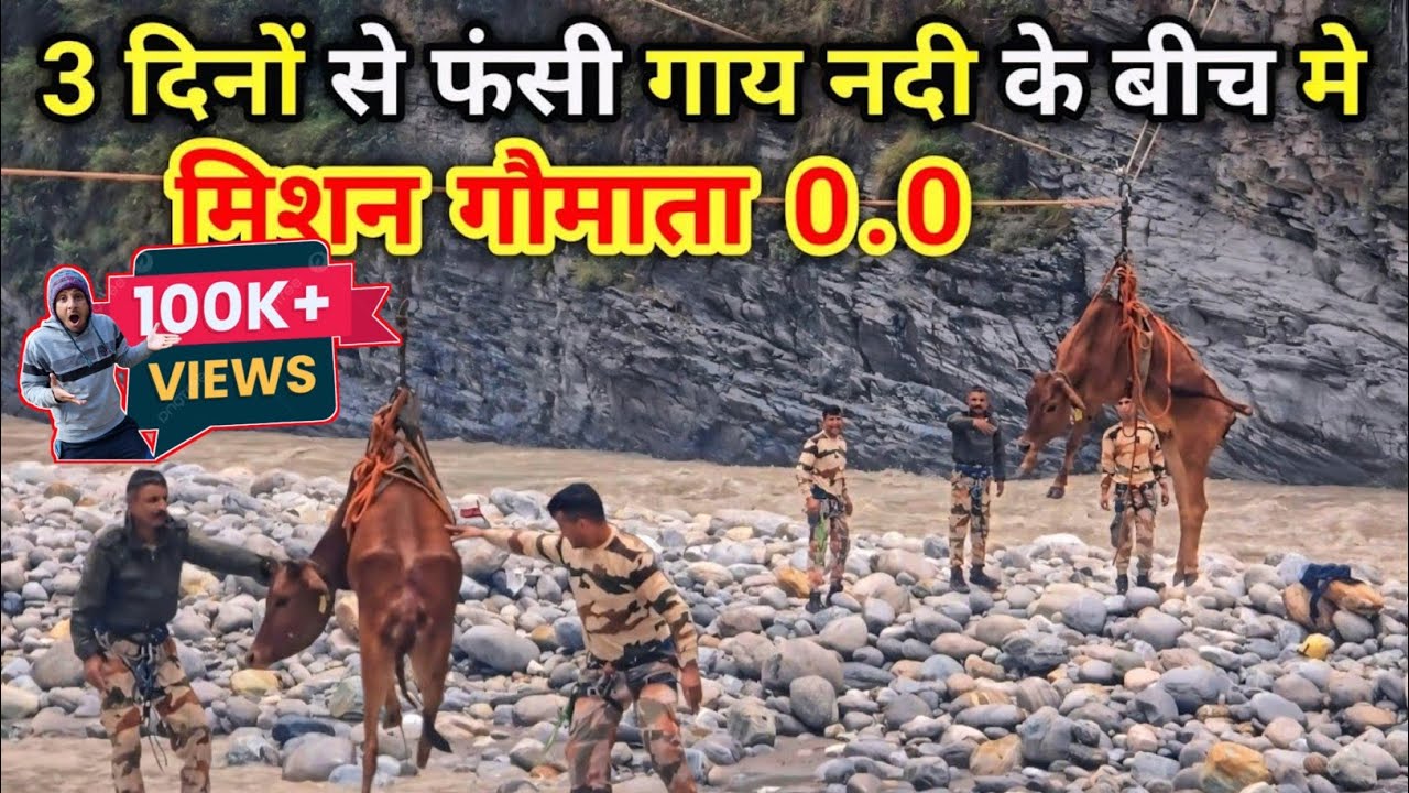 3 दिनों से नदी के बीच मे फसी गाय का बचाव कार्य || मिशन गौमाता 0.0 || pahadi lifestyle video ||