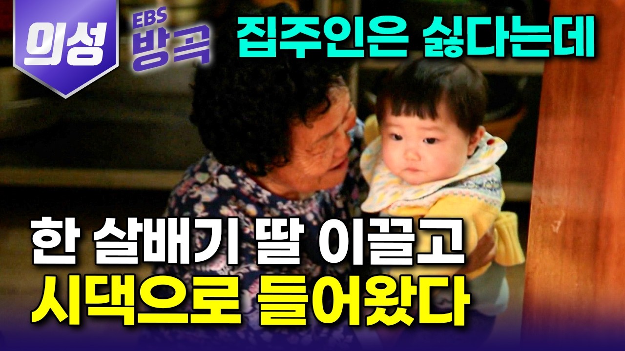 [경북 의성] 