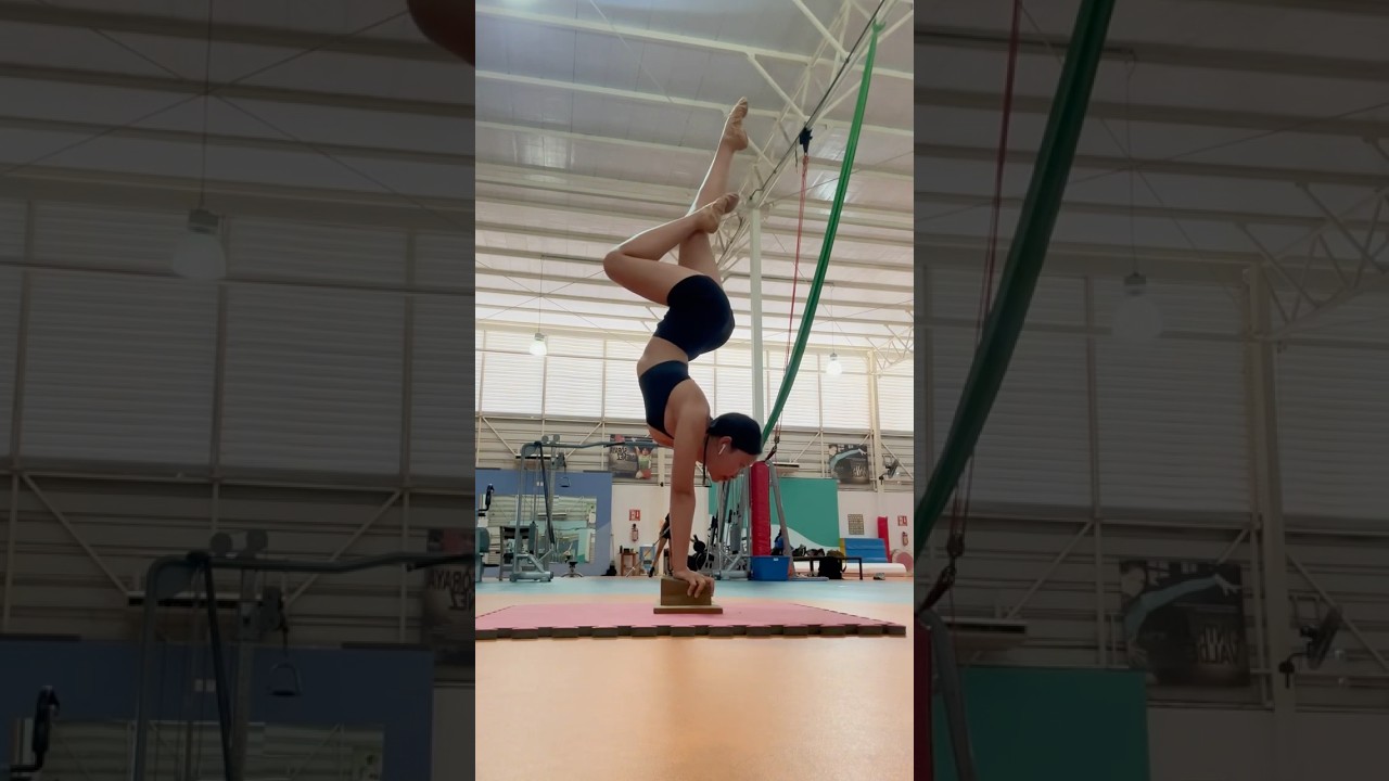 #artist #dance #circus #acrobatics #circusartist #aerial #contortion #contortionist #flexibility