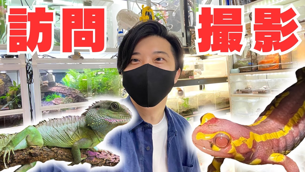 【爬虫類】ヤバいやつが大量にいた..！！！！