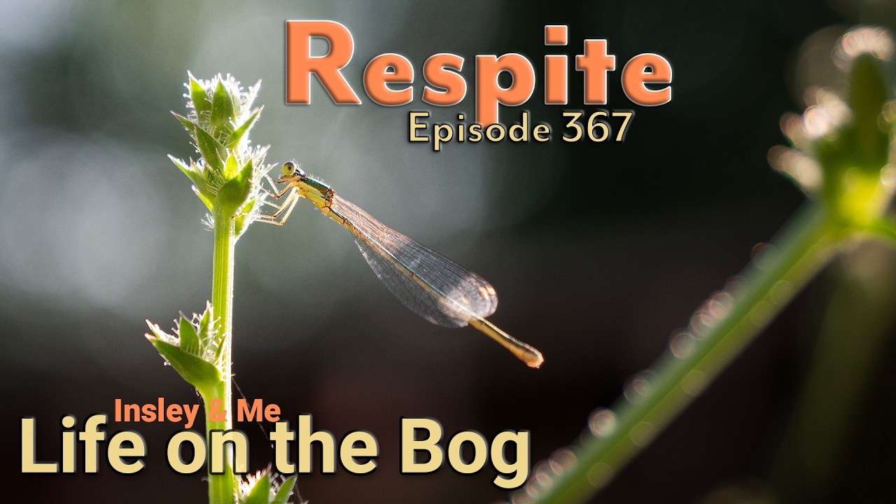 Life on the Bog • Ep. 367 - July 14-20, 2025