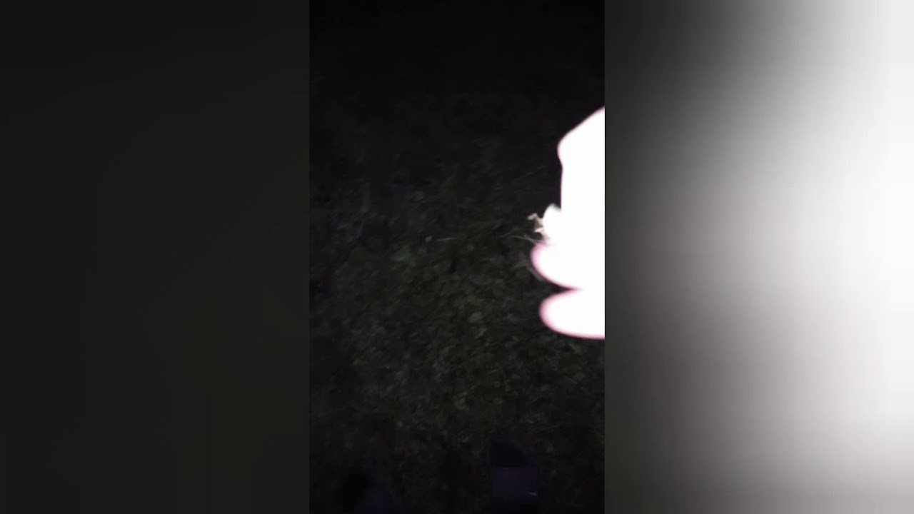 H&oacute; ❄ kutatas🤫🤫