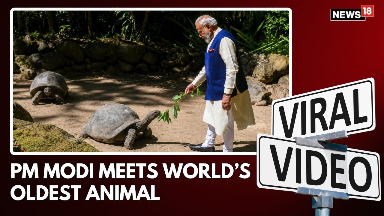 PM Narendra Modi Meets World's Oldest Living Land Animal in Seychelles | PM Modi News | N18V