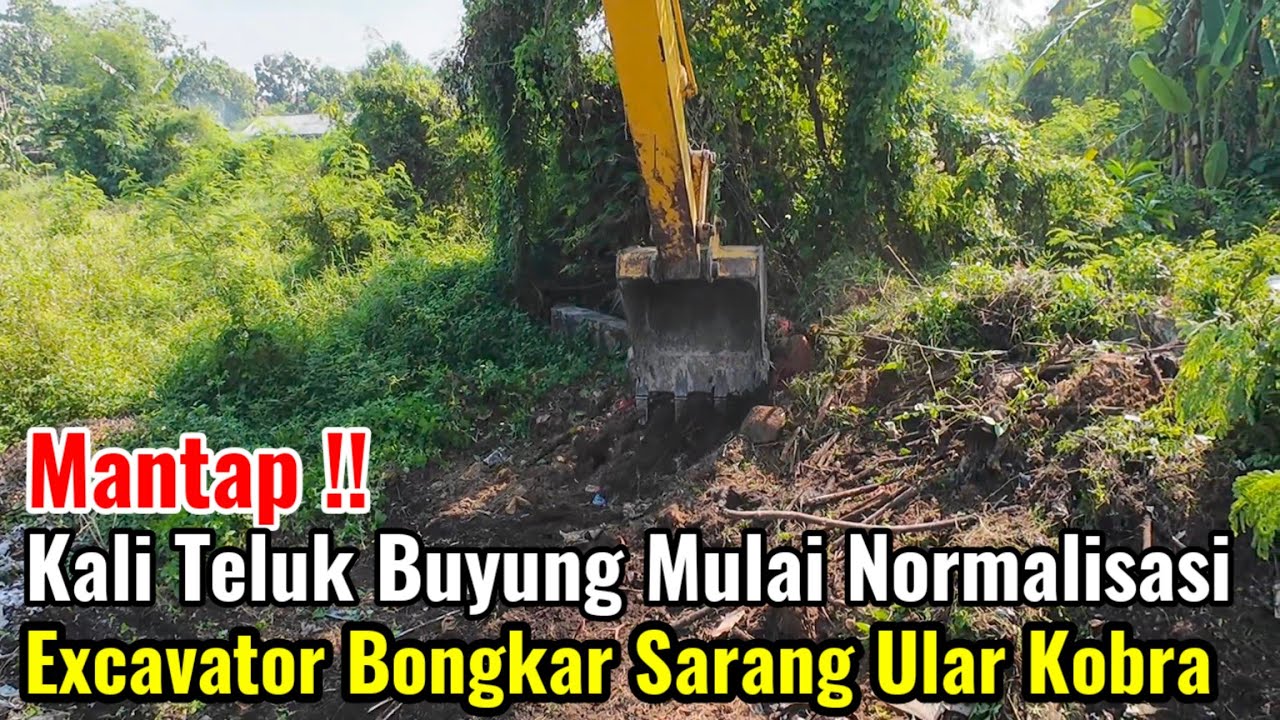 Mantap‼️Kali Teluk Buyung Mulai Normalisasi Excavator Bongkar Sarang Ular Kobra