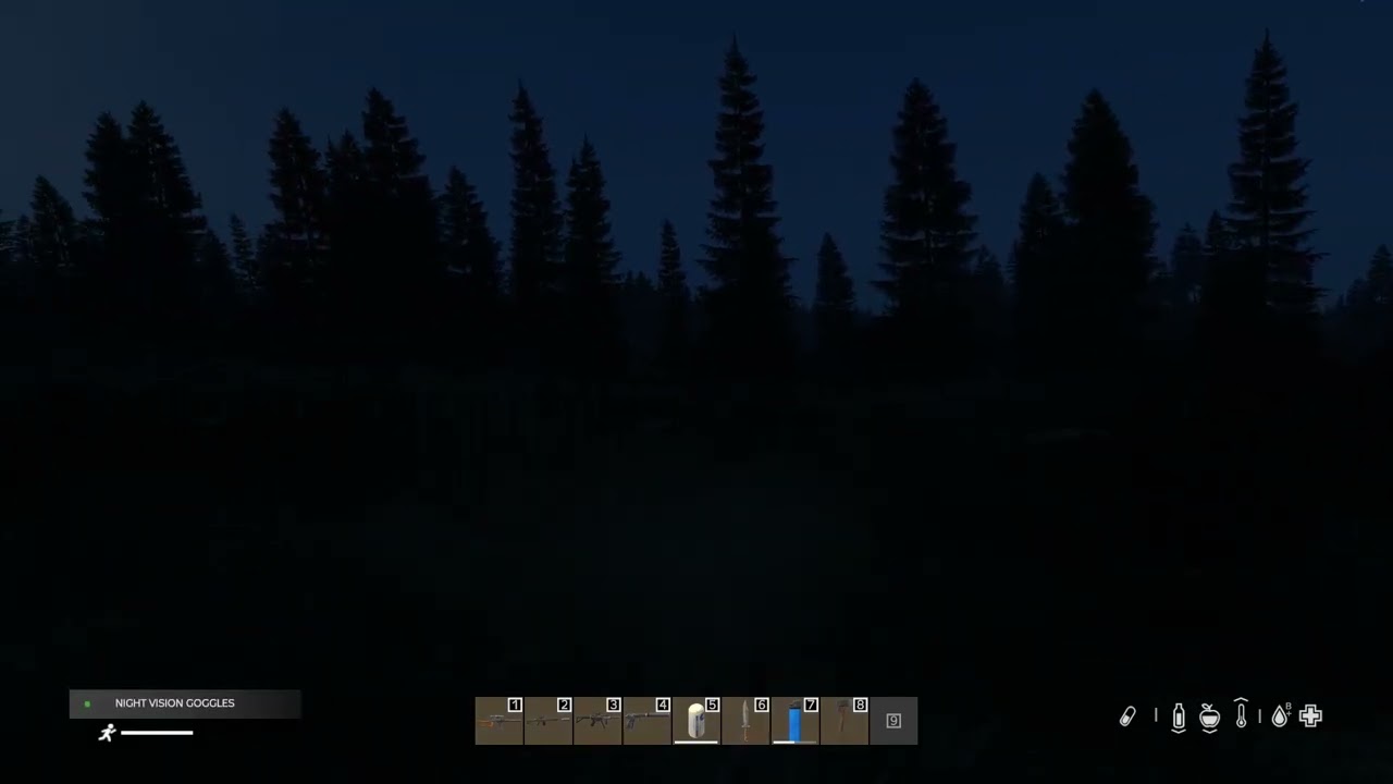 DayZ nvg bug
