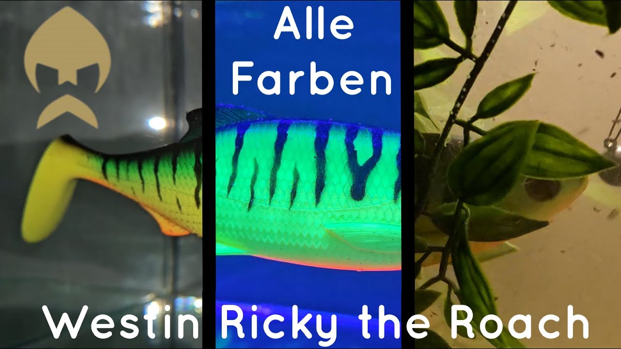 WESTIN Ricky the Roach Alle Farben!  Wasser- UV-Test
