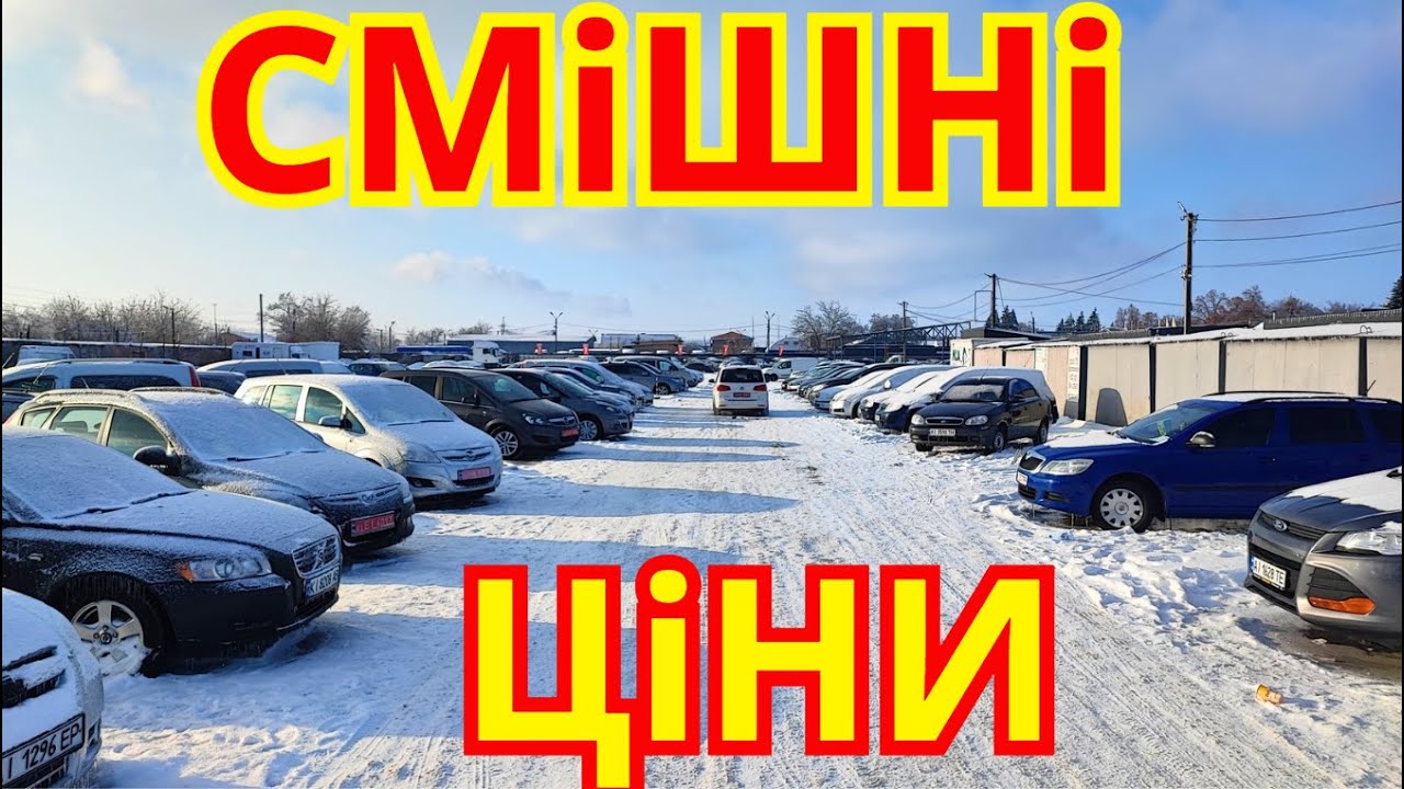 Авто Базар Біла Церква ЗИМА 2026 #автобазар #білацерква #оглядавто #підбіравто #продажавто #базар
