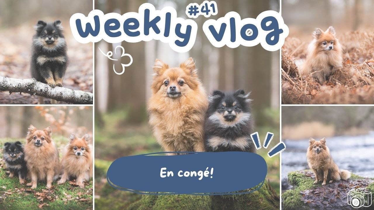 Weekly vlog #41 : des rando pour ma semaine de congé!