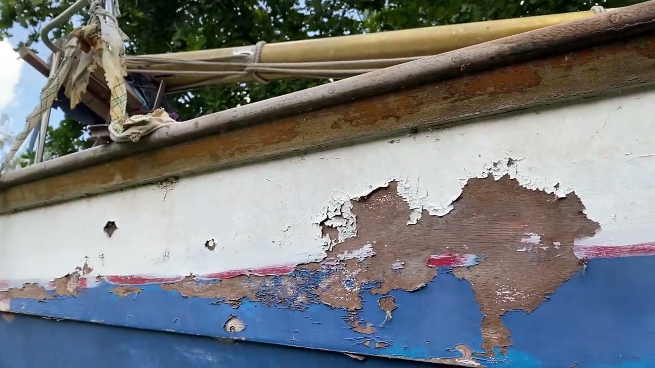 Waarschip 725  - Boatshed - Boat Ref#315041