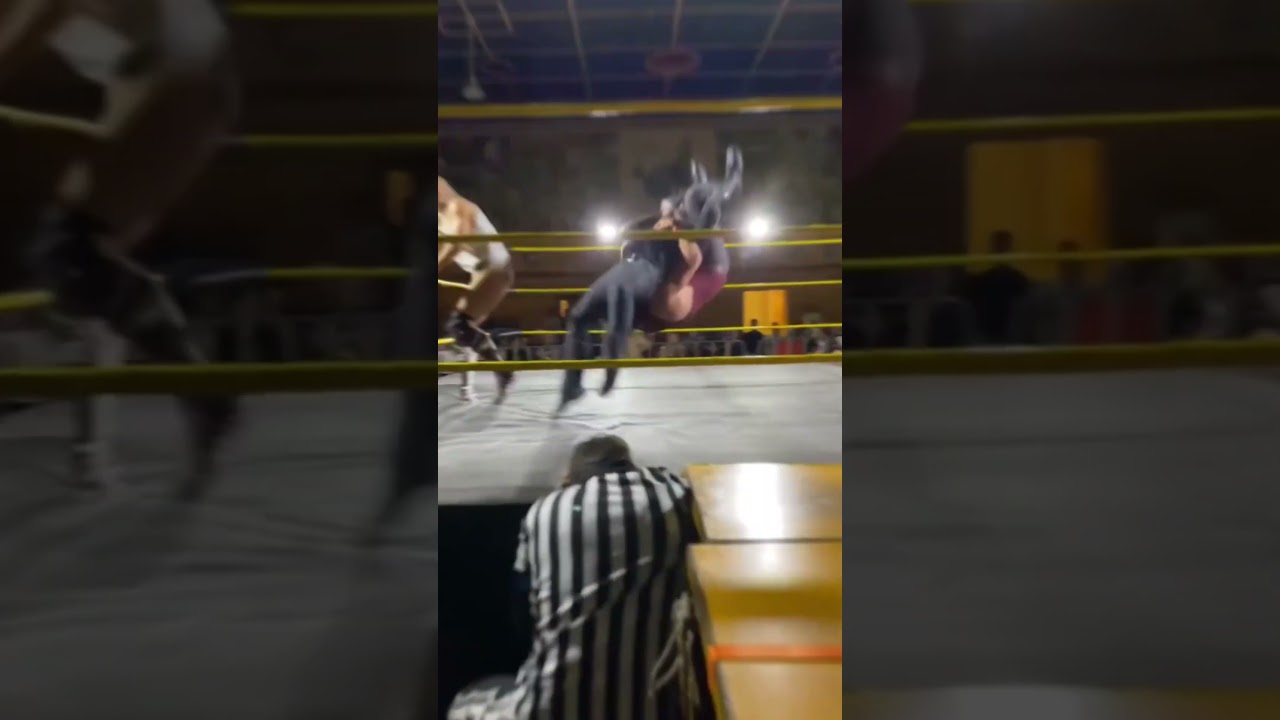 I&rsquo;ll show myself out #acw #australianwrestling #acwthunderstruck #wrestling #wrestlingentertainment