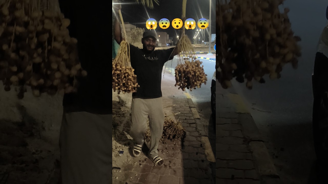 మా బాబా😯ఎం పని😨చెప్పాడో😱 చూడండి #kuwaittelugu #kuwaitdriver #kuwaitvlogs #youtubeshorts #shortsfeed