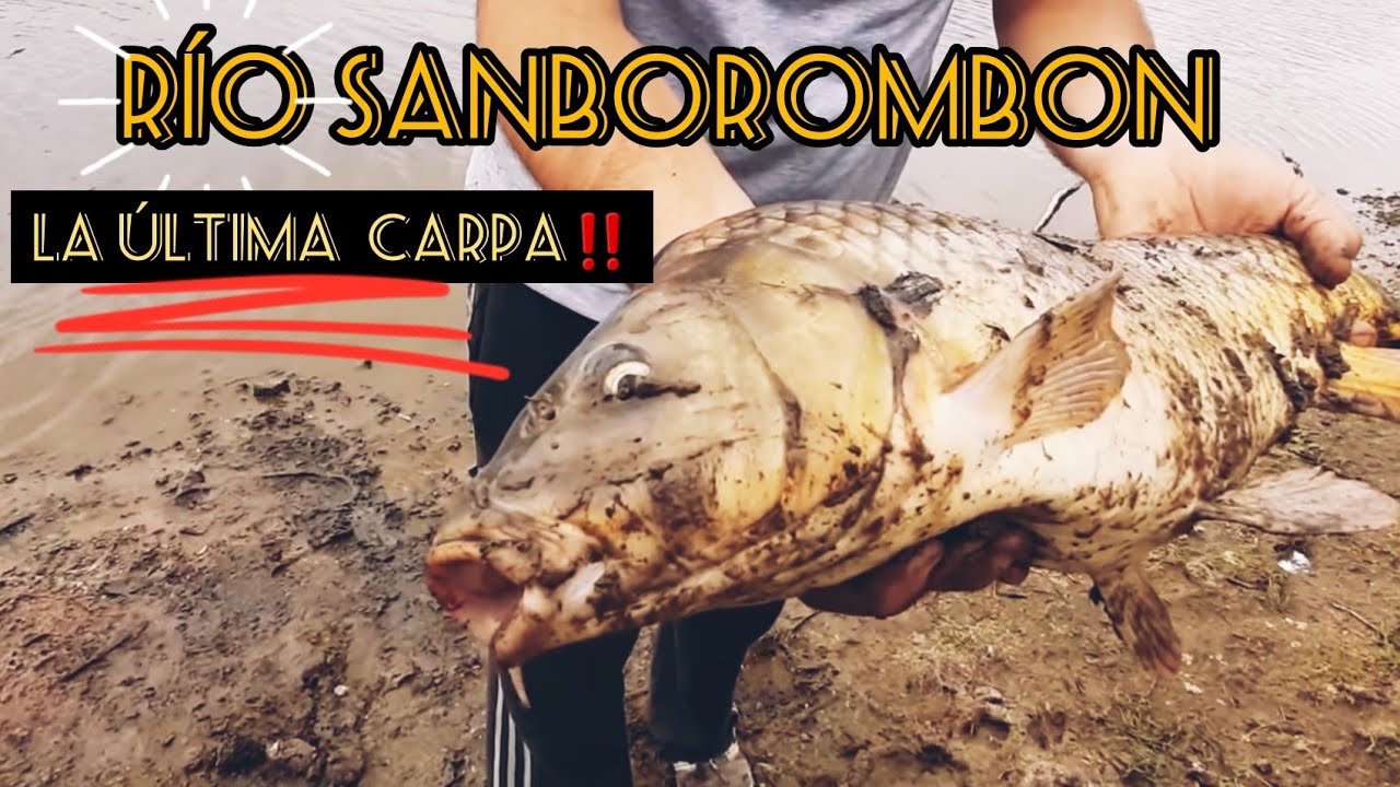 PESCA En RIO SAMBOROMBON por Ruta 29 // CARPAS, taruchas y MUCHA AVENTURA // MJ-PESCA