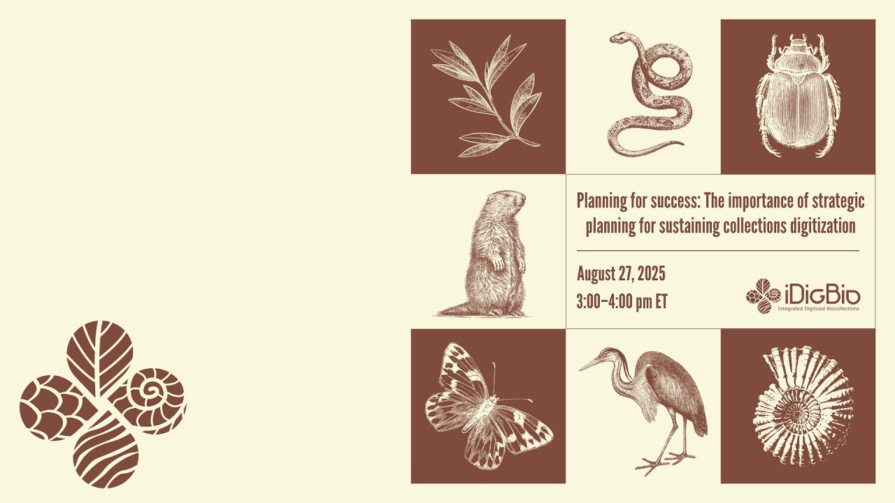 Strategic Planning for Sustainable Collections Digitization | iDigBio Webinar (Aug 27, 2025)