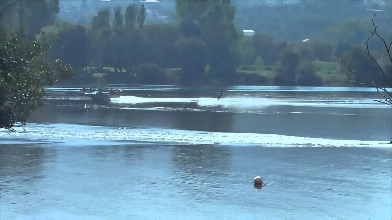 Tomi&ntilde;o: azul