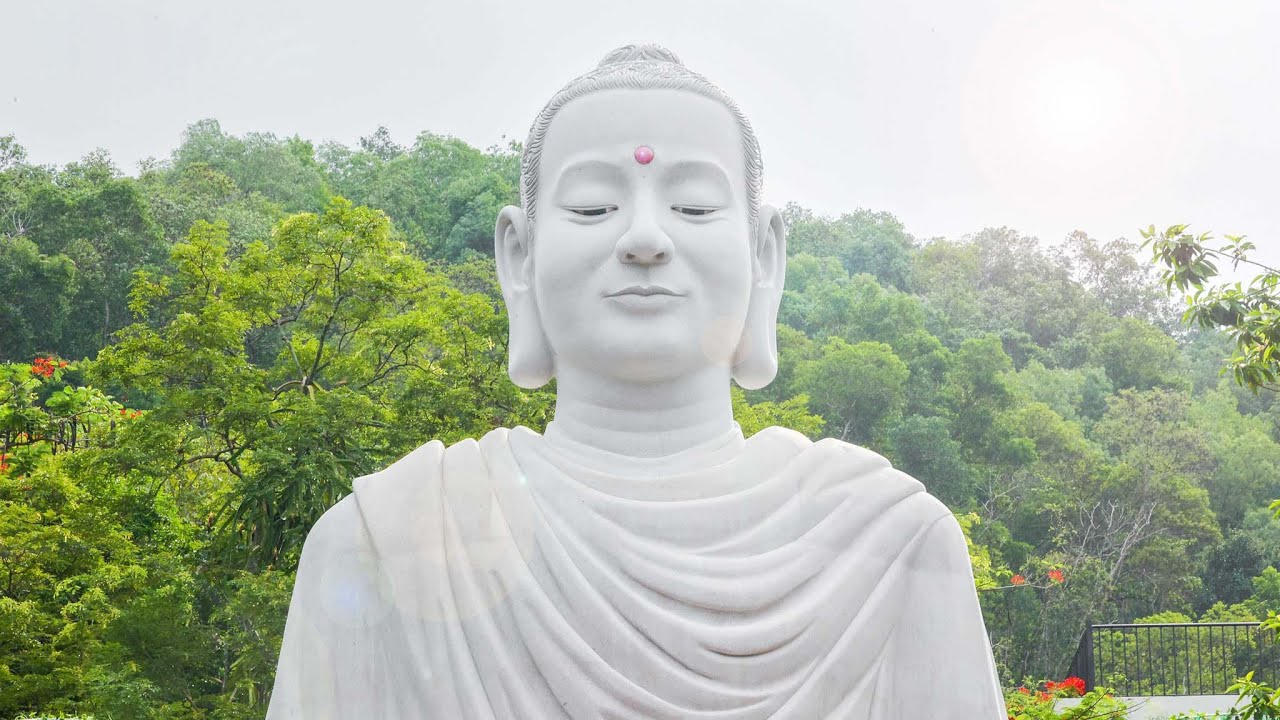 Ánh sáng Phật về - Tạ Minh Tâm