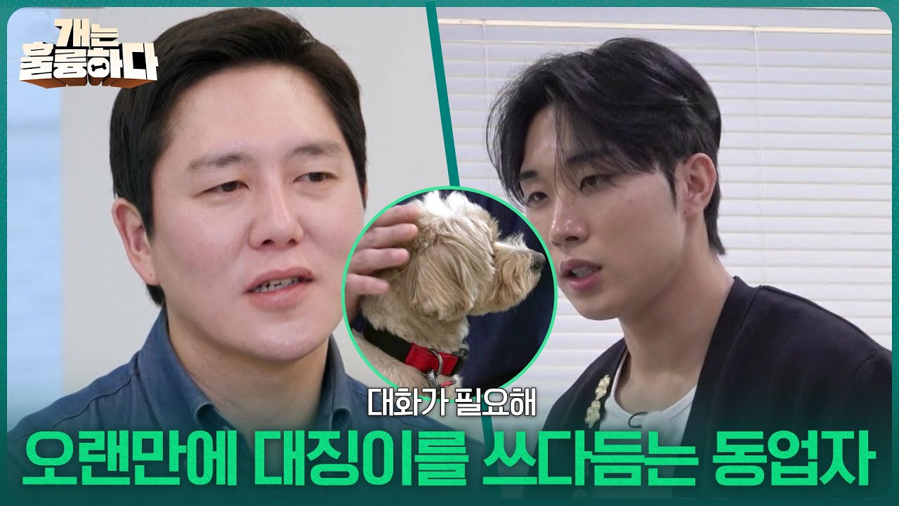 최민혁의 교육으로 오랜만에 대징이를 쓰다듬는 동업자 [개는 훌륭하다] | KBS 260309 방송