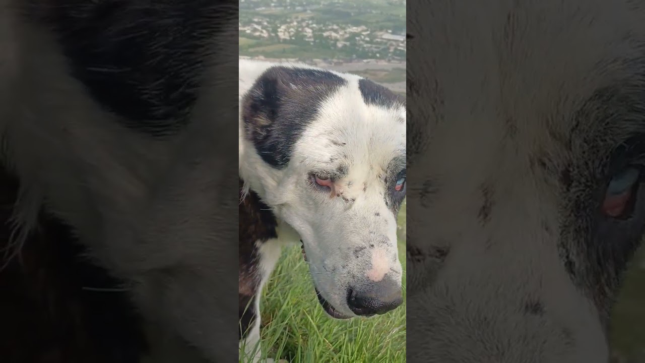 8 февраля 2026 г.