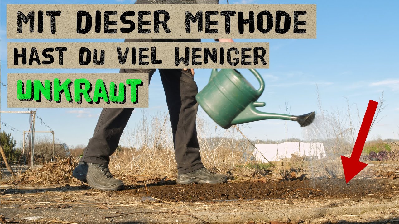 Unkraut verhindern durch falsches Saatbeet, Mulchen und Methode gegen Ackerwinde und Giersch